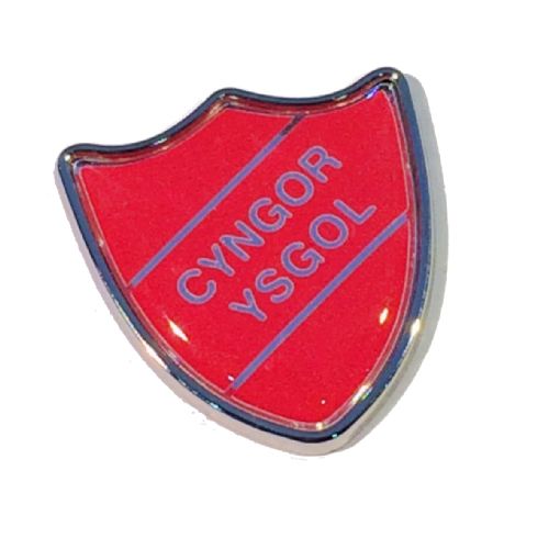 CYNGOR YSGOL shield badge